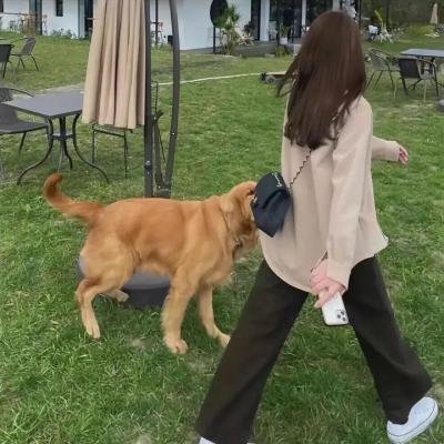 一个男人和一个女人